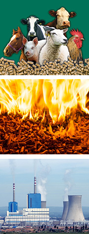 秸稈顆粒機用途非常廣泛可用于飼料喂養,取暖、生活爐灶、鍋爐、工業鍋爐、發電廠